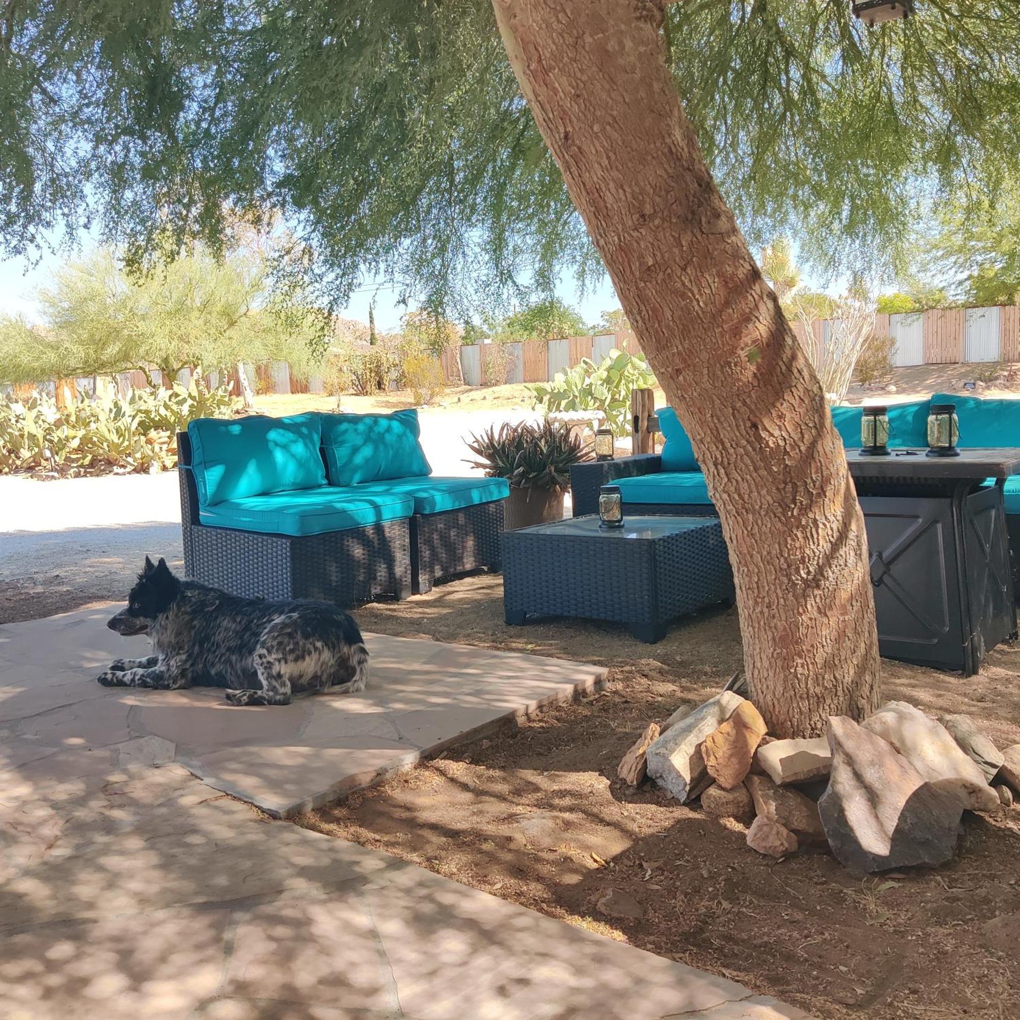 Joshua Tree Ranch House Motel - Downtown - Room #8 Extérieur photo